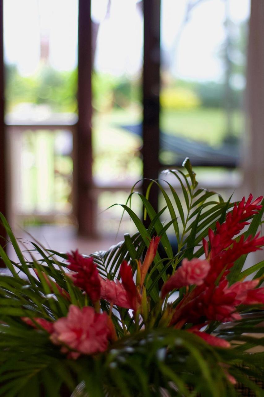 Te Ava Beach Villas Rarotonga Exterior photo